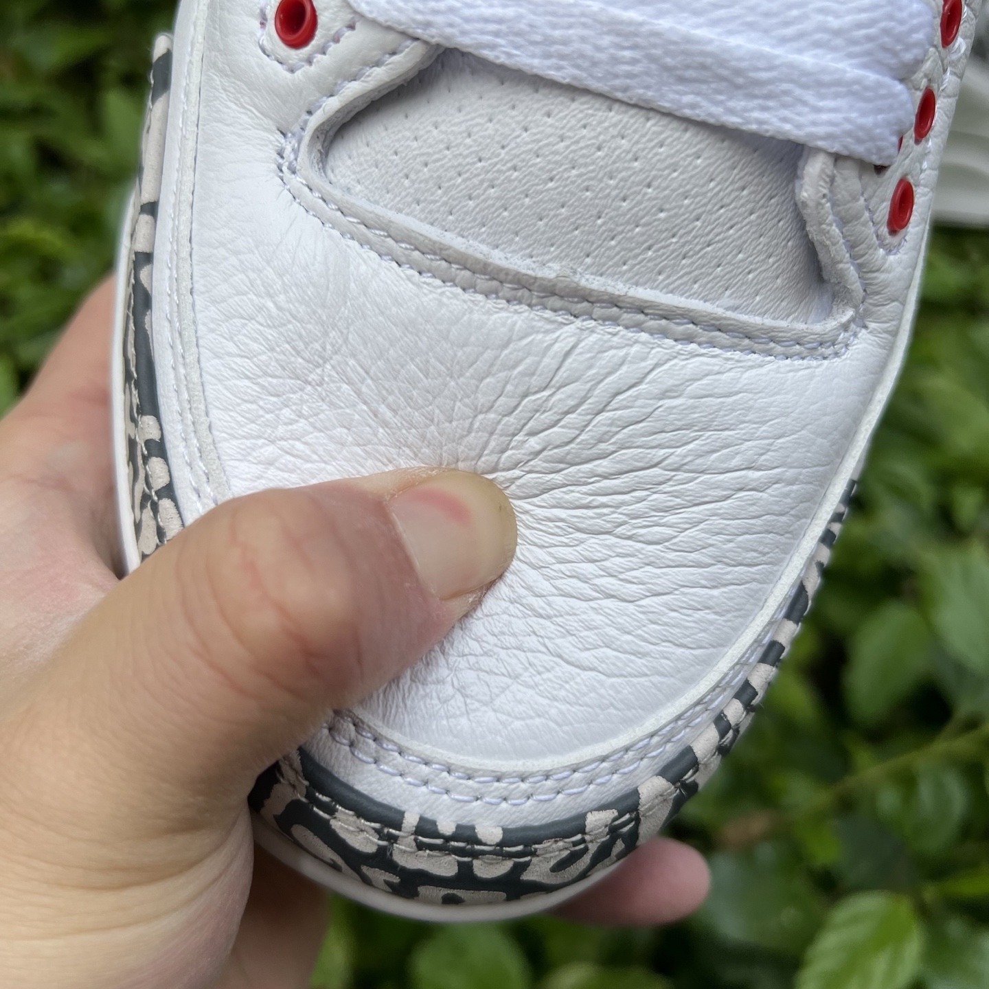 Nike Jordan shoe